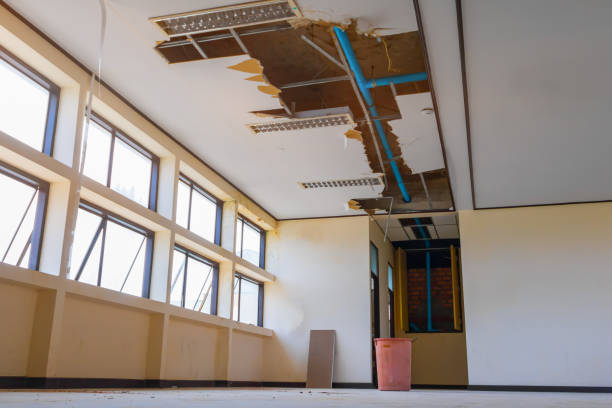 Best Mold removal after water damage  in Colfax, CA