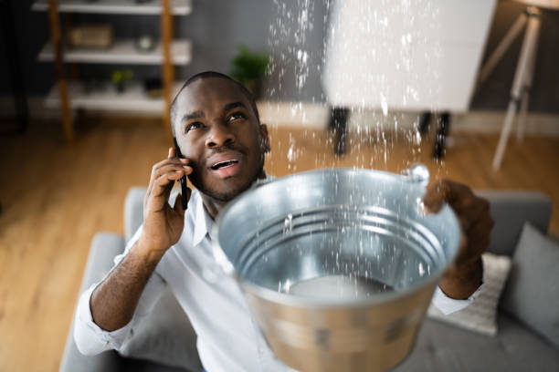 Best Professional water damage repair  in Colfax, CA