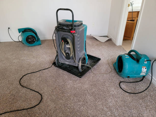 Best Flooded house restoration  in Colfax, CA