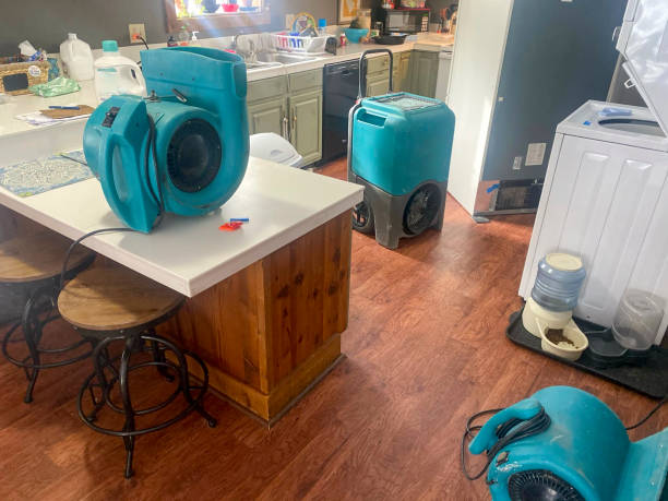 Best Water damage repair service  in Colfax, CA
