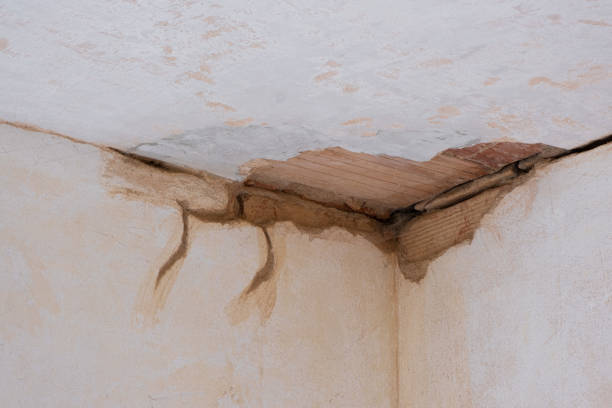 Best Sewage cleanup and water damage restoration  in Colfax, CA