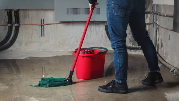 Best Water damage contractors near me  in Colfax, CA