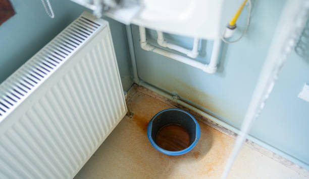 Best Flood damage cleanup  in Colfax, CA