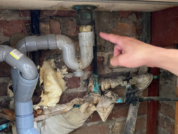 Best Flooded house restoration  in Colfax, CA
