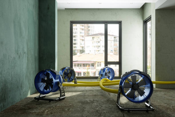Best Professional water damage repair  in Colfax, CA